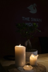 Swan House, Rekjavik, Reception